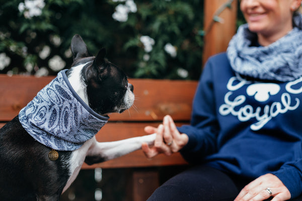Matching Sets: Infinity scarf & Dog Neck Scarf - Neptune's Realm